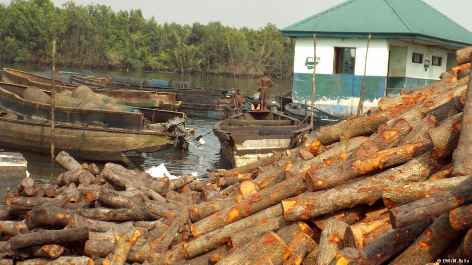 charcoal-africa-logging-marketexpress-in