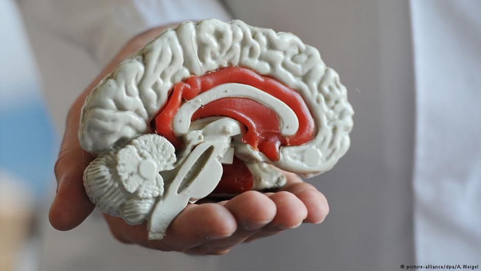 smartphone-addiction-cortex-marketexpress-in