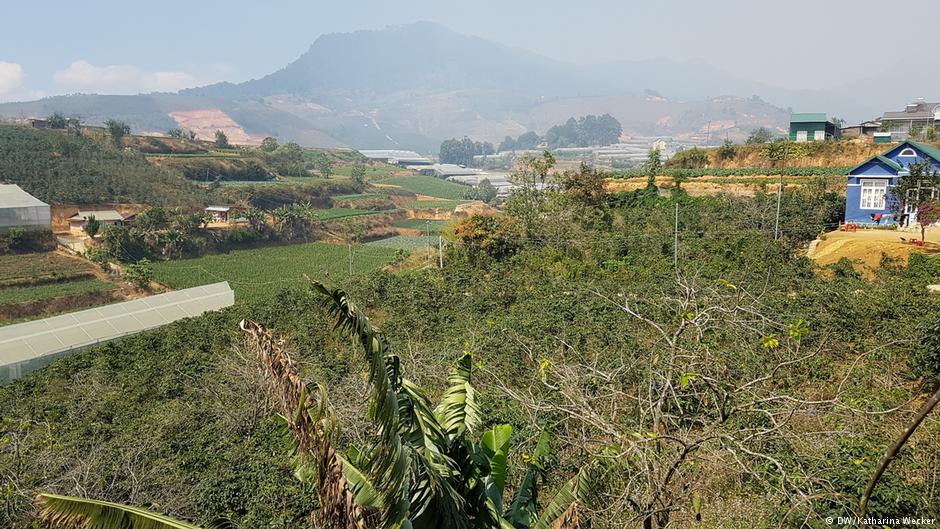 vietnam-coffee-beans-marketexpress-in