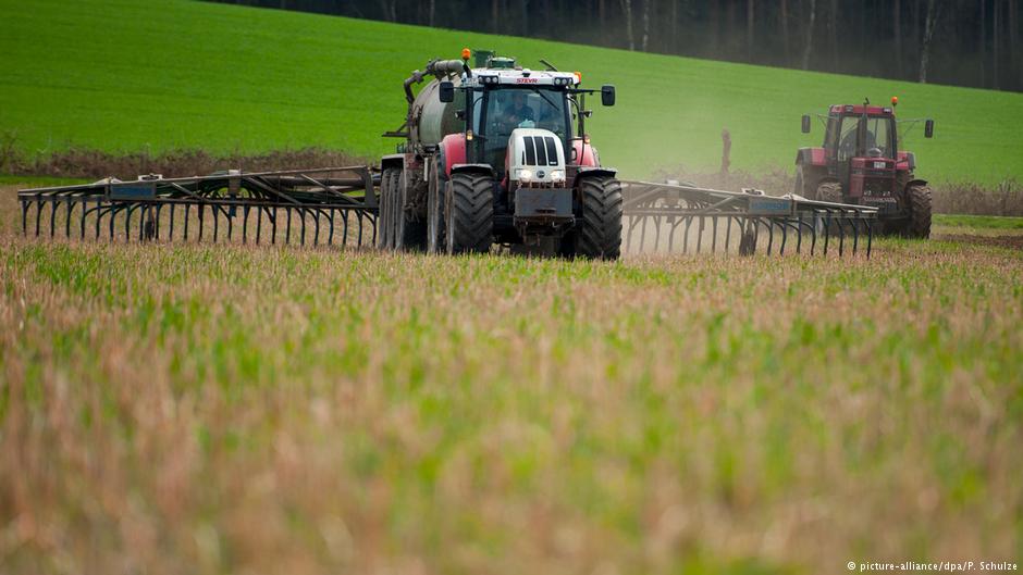 italy-tradition-farming