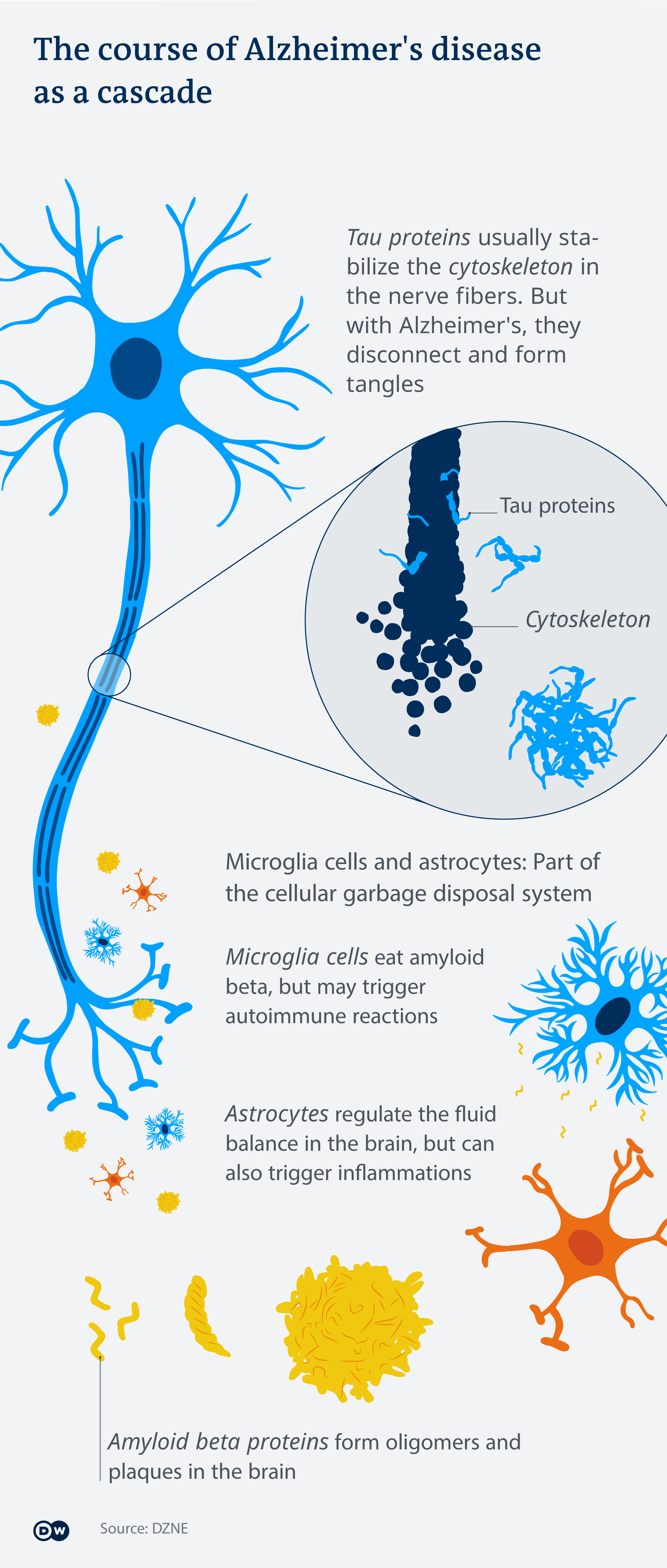 alzheimer-aducanumab-drug-marketexpress-in