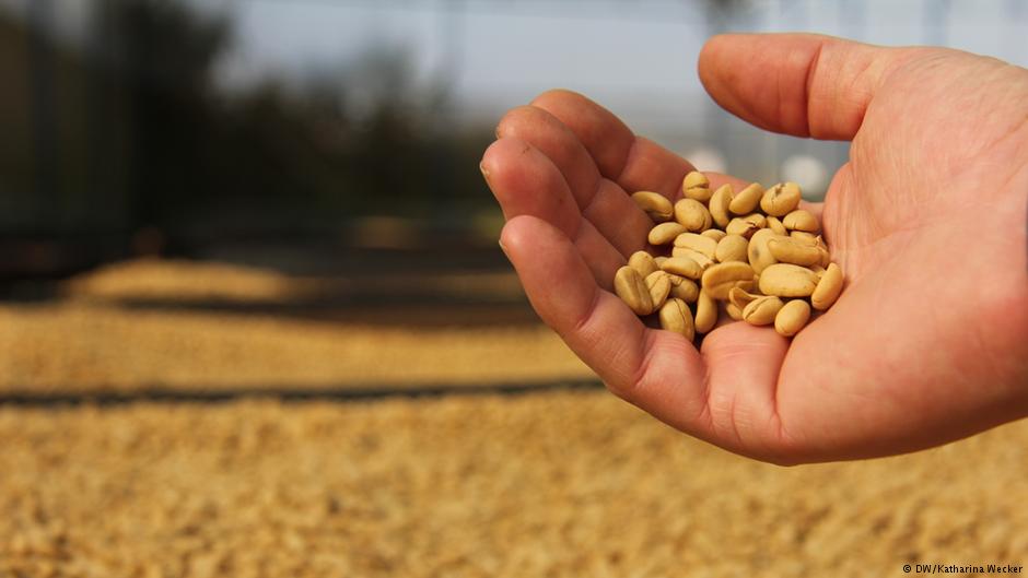 vietnam-coffee-revolution-marketexpress.in