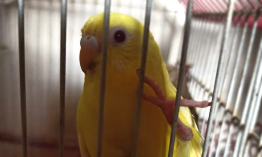 economic-insights-warnings-marketexpress-in